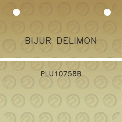 bijur-delimon-plu10758b