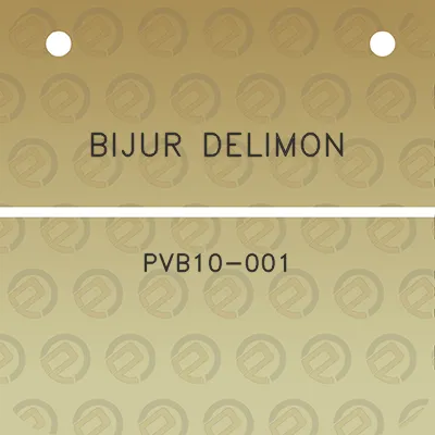 bijur-delimon-pvb10-001