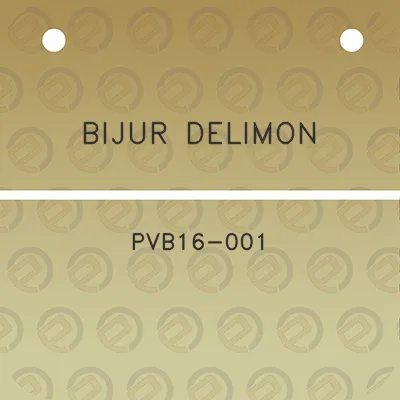 bijur-delimon-pvb16-001