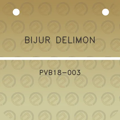 bijur-delimon-pvb18-003