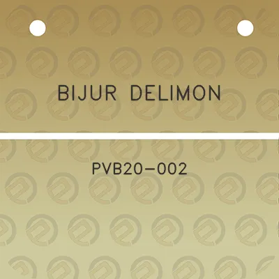 bijur-delimon-pvb20-002