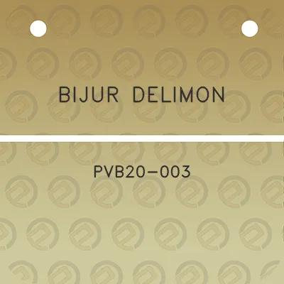 bijur-delimon-pvb20-003