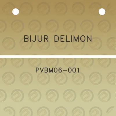 bijur-delimon-pvbm06-001