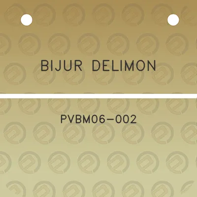 bijur-delimon-pvbm06-002