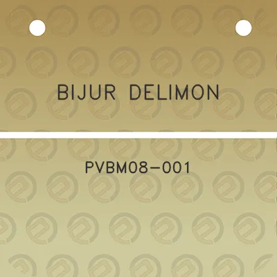 bijur-delimon-pvbm08-001