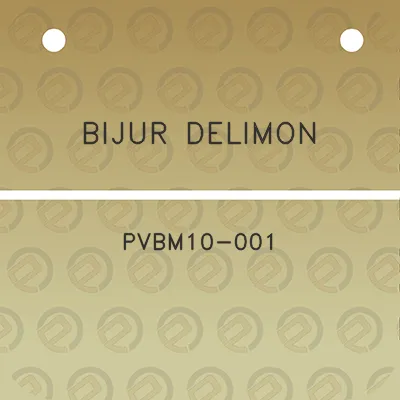 bijur-delimon-pvbm10-001