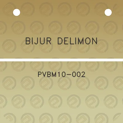 bijur-delimon-pvbm10-002