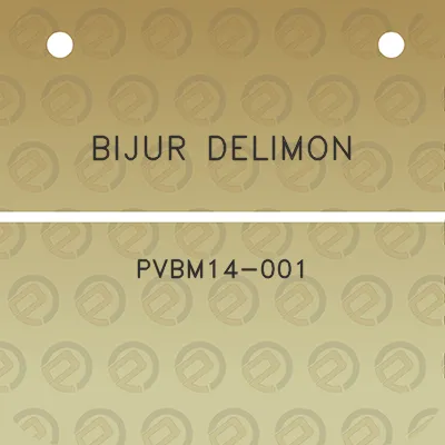 bijur-delimon-pvbm14-001