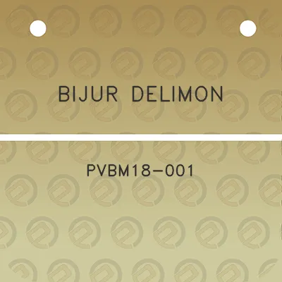 bijur-delimon-pvbm18-001