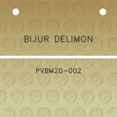 bijur-delimon-pvbm20-002