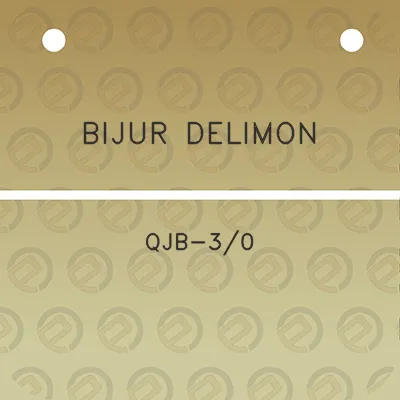 bijur-delimon-qjb-30