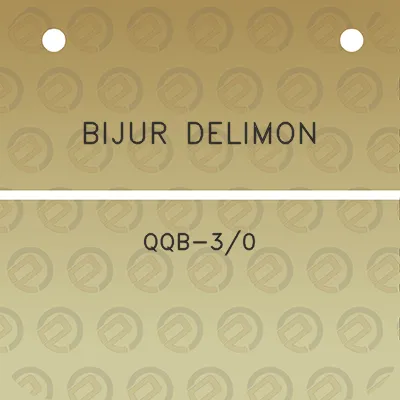 bijur-delimon-qqb-30