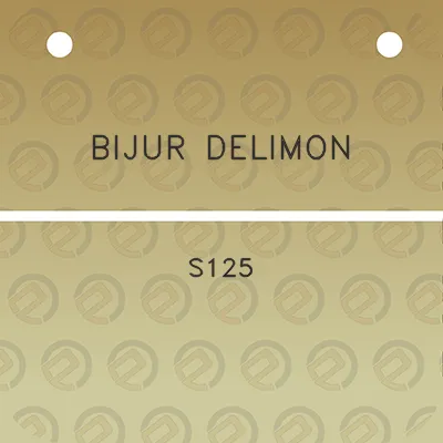 bijur-delimon-s125