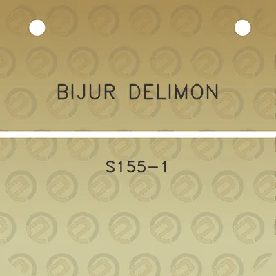 bijur-delimon-s155-1