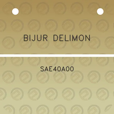 bijur-delimon-sae40a00