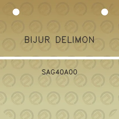 bijur-delimon-sag40a00