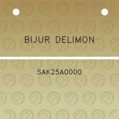 bijur-delimon-sak25a0000