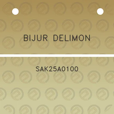 bijur-delimon-sak25a0100