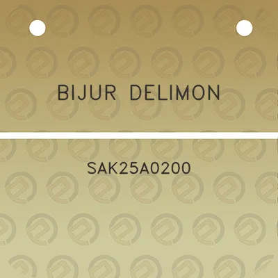 bijur-delimon-sak25a0200