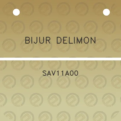 bijur-delimon-sav11a00