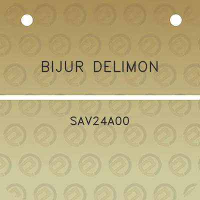 bijur-delimon-sav24a00