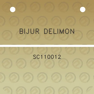 bijur-delimon-sc110012