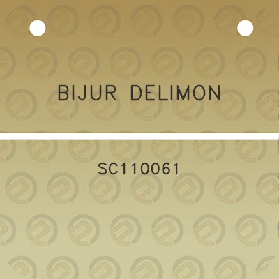 bijur-delimon-sc110061