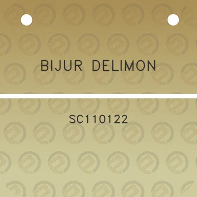 bijur-delimon-sc110122