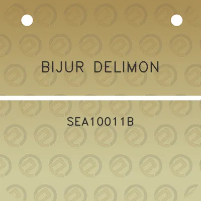 bijur-delimon-sea10011b