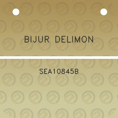 bijur-delimon-sea10845b