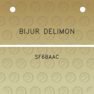 bijur-delimon-sf6baac