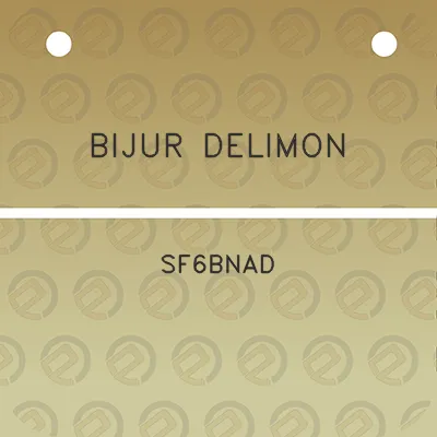 bijur-delimon-sf6bnad