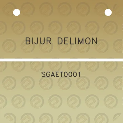 bijur-delimon-sgaet0001