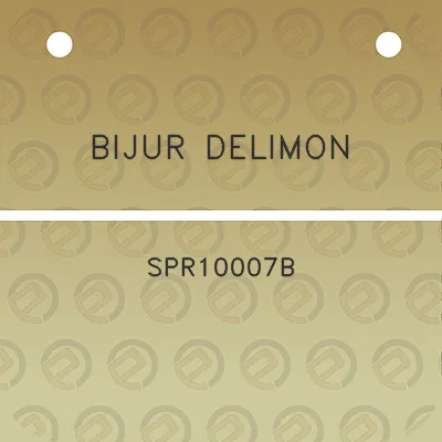 bijur-delimon-spr10007b