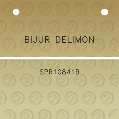 bijur-delimon-spr10841b