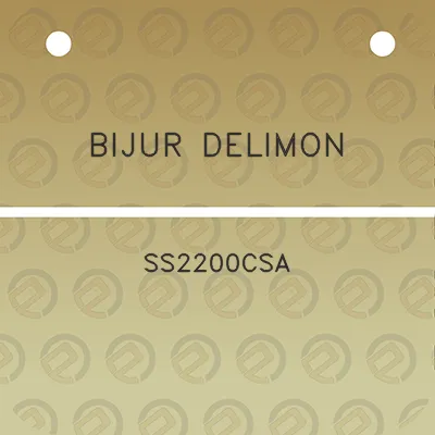 bijur-delimon-ss2200csa