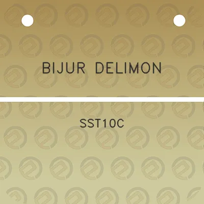 bijur-delimon-sst10c