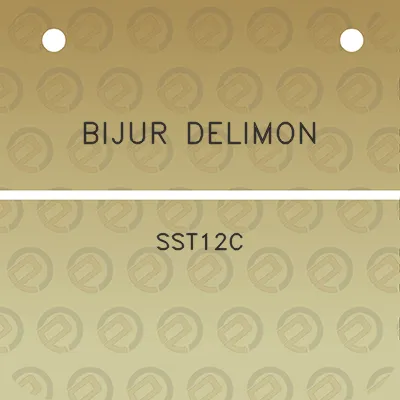 bijur-delimon-sst12c