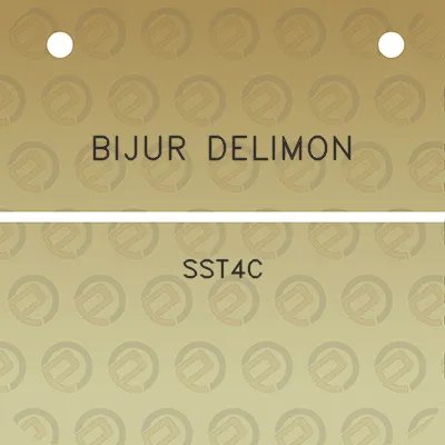 bijur-delimon-sst4c