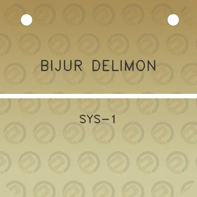 bijur-delimon-sys-1