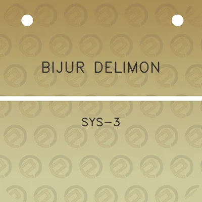 bijur-delimon-sys-3