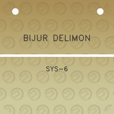 bijur-delimon-sys-6