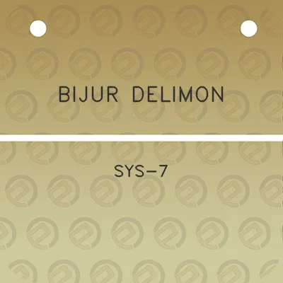 bijur-delimon-sys-7