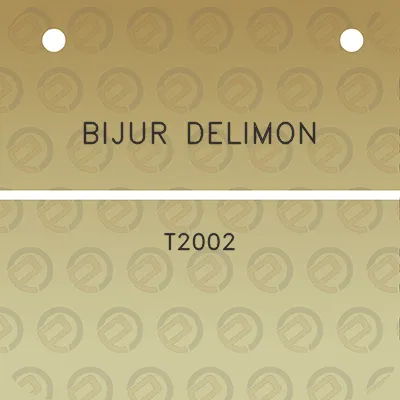 bijur-delimon-t2002