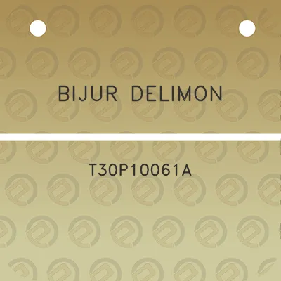 bijur-delimon-t30p10061a