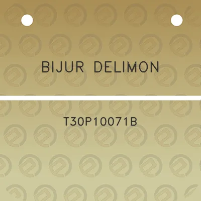 bijur-delimon-t30p10071b