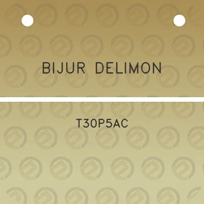 bijur-delimon-t30p5ac