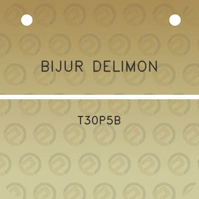 bijur-delimon-t30p5b