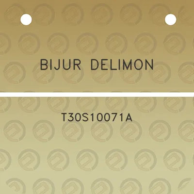 bijur-delimon-t30s10071a