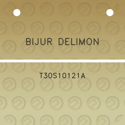 bijur-delimon-t30s10121a